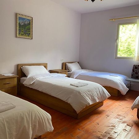 Vita Guesthouse Bajram Curri Kültér fotó