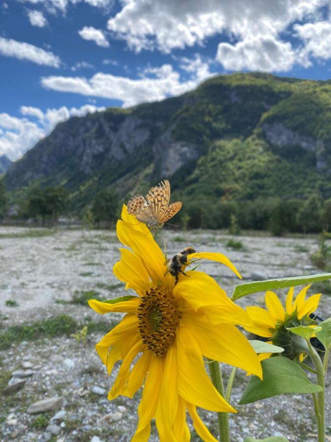 Vita Guesthouse Bajram Curri Kültér fotó